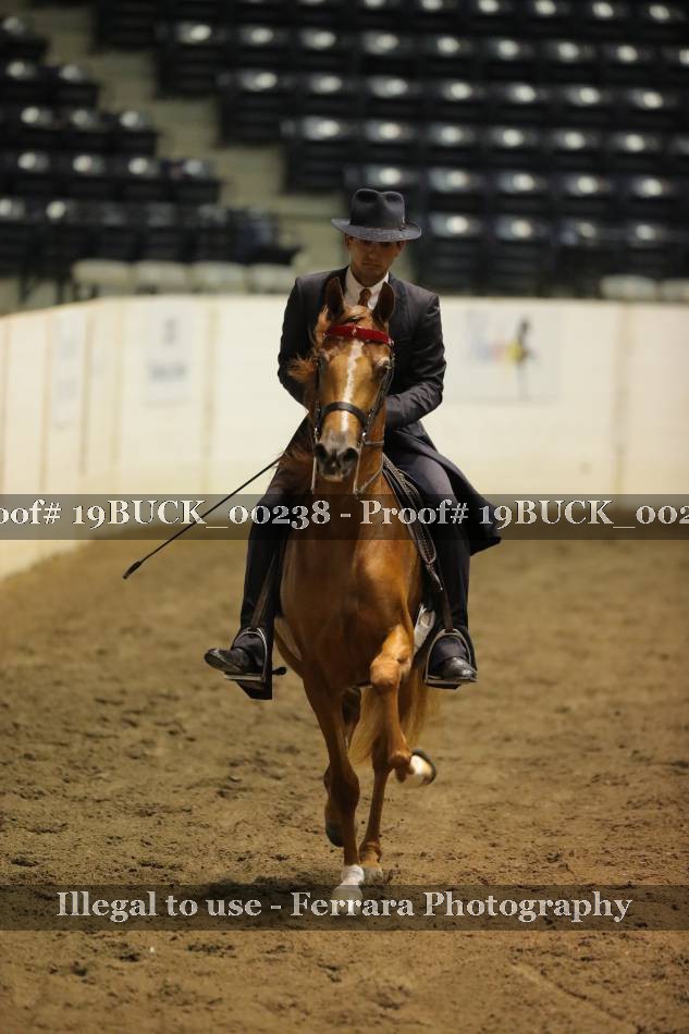 Proof 19BUCK_00238