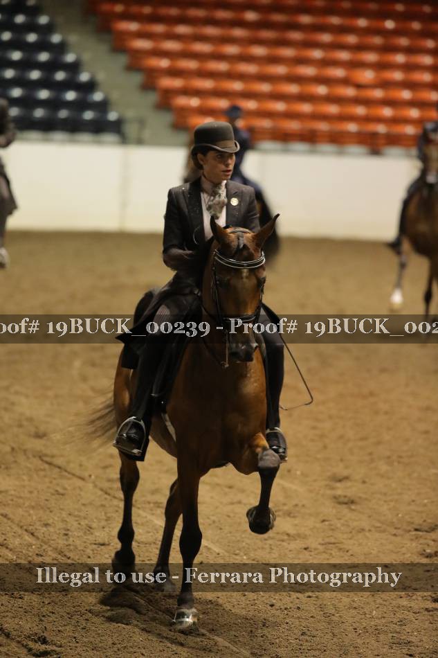 Proof 19BUCK_00239