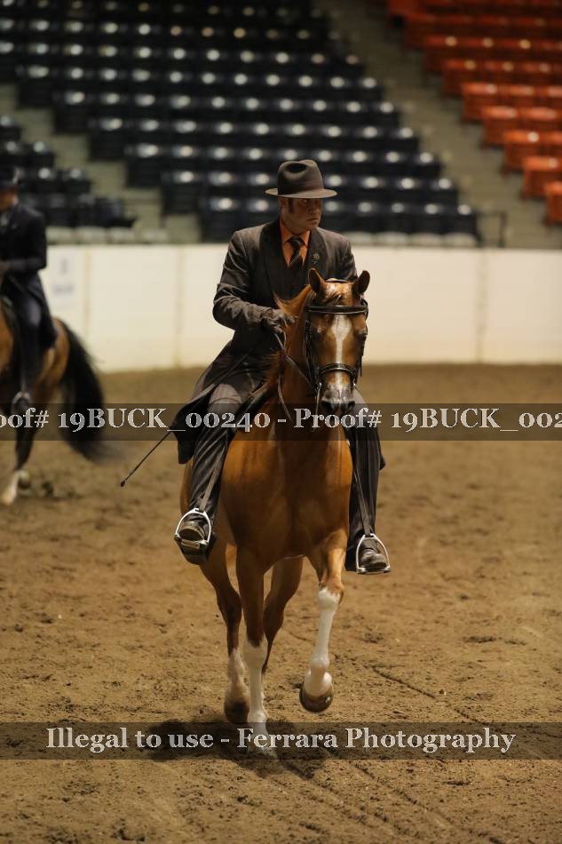 Proof 19BUCK_00240