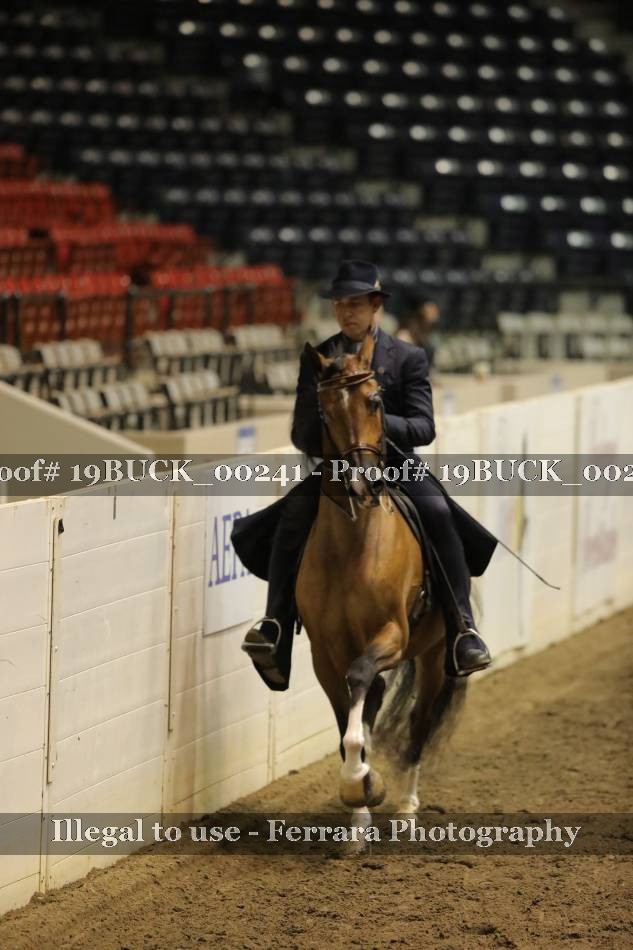 Proof 19BUCK_00241