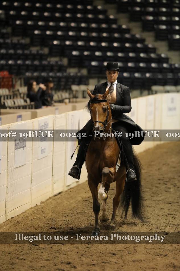 Proof 19BUCK_00242