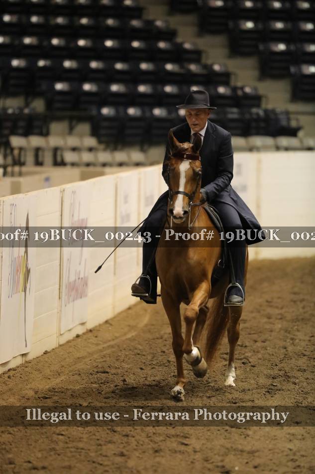 Proof 19BUCK_00243