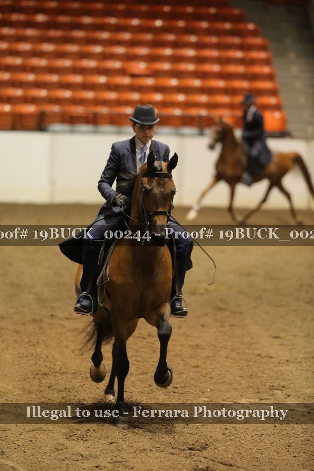Proof 19BUCK_00244