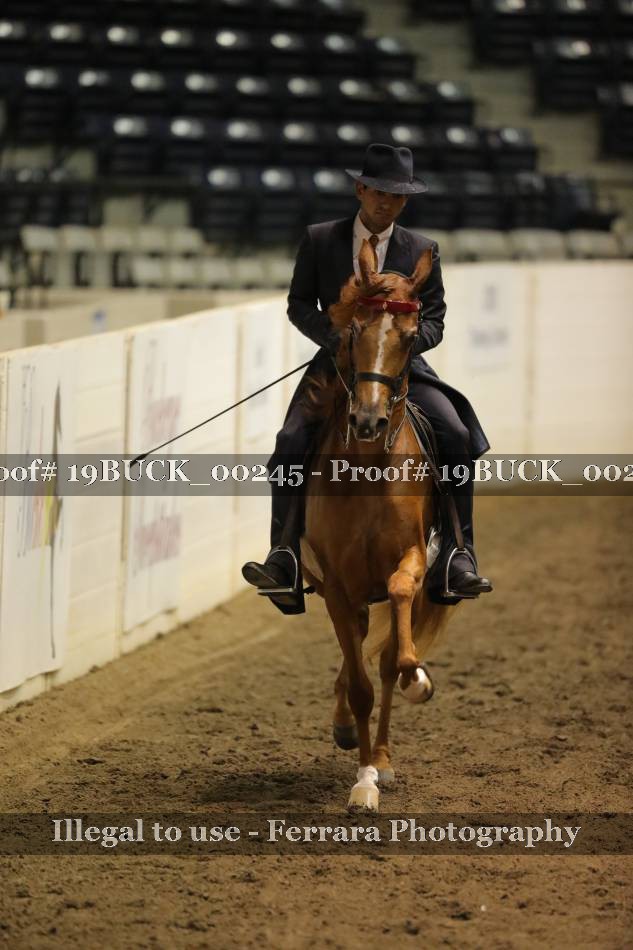Proof 19BUCK_00245