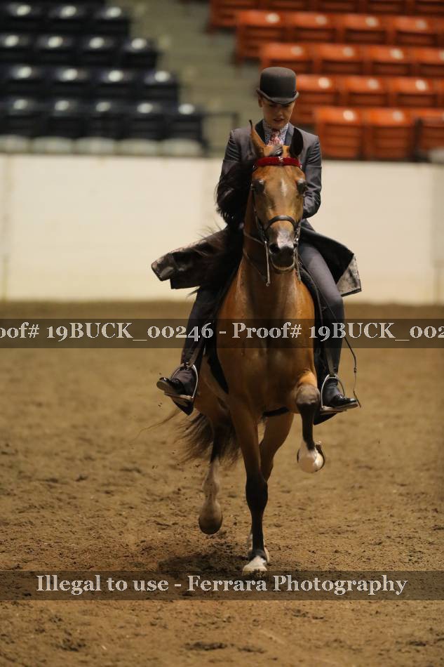 Proof 19BUCK_00246