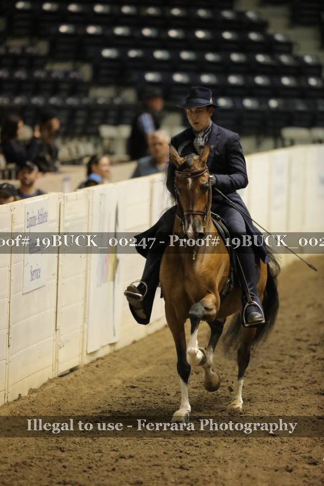 Proof 19BUCK_00247