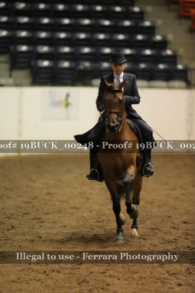 Proof 19BUCK_00248