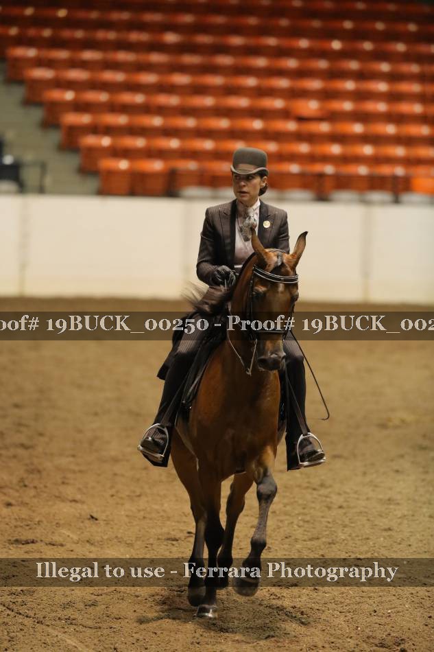 Proof 19BUCK_00250