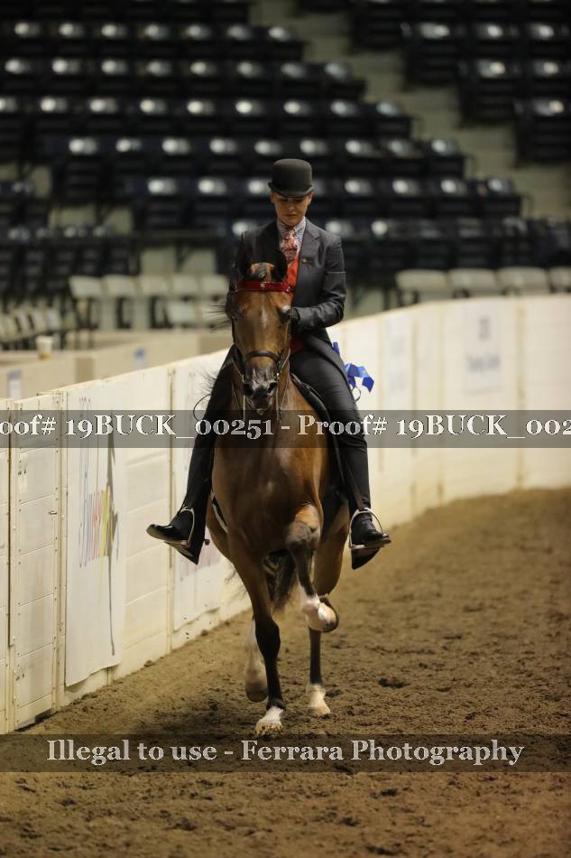 Proof 19BUCK_00251