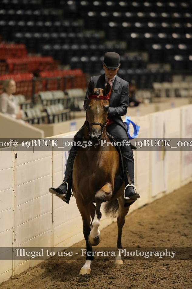 Proof 19BUCK_00252