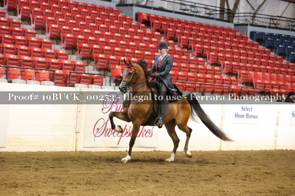 Proof 19BUCK_00253