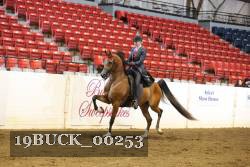 19BUCK_00253 proof