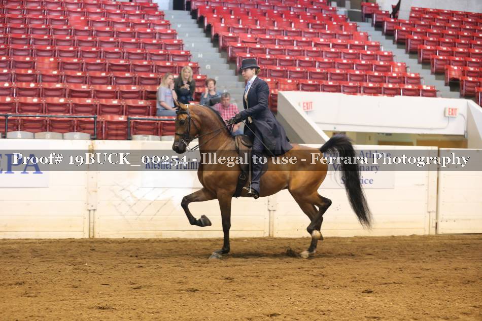 Proof 19BUCK_00254