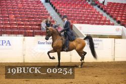 19BUCK_00254 proof