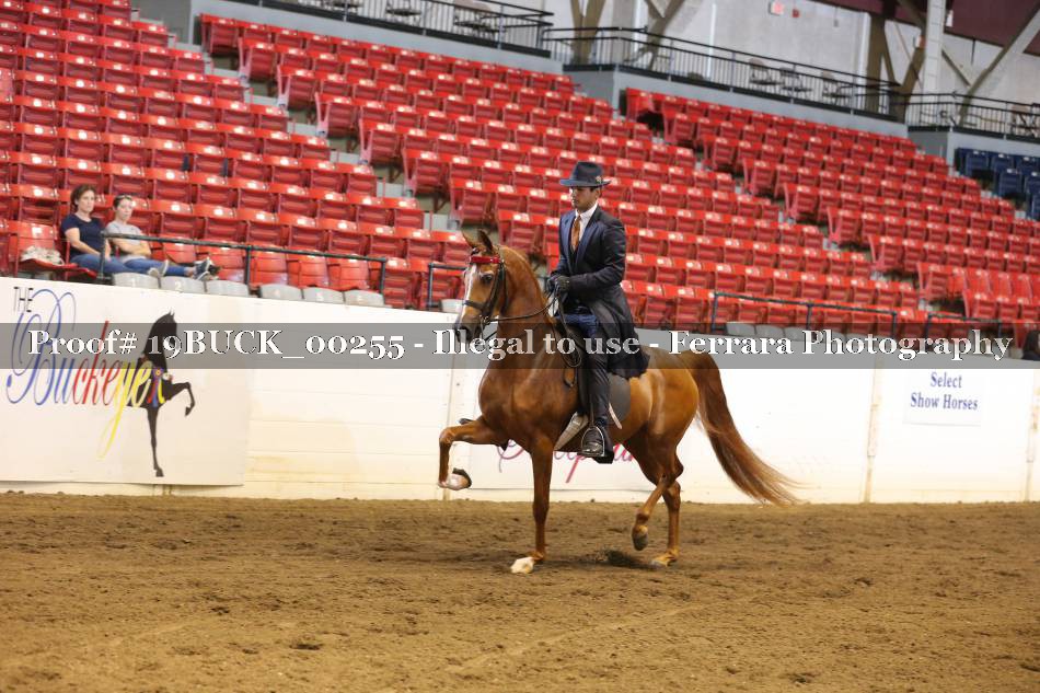 Proof 19BUCK_00255