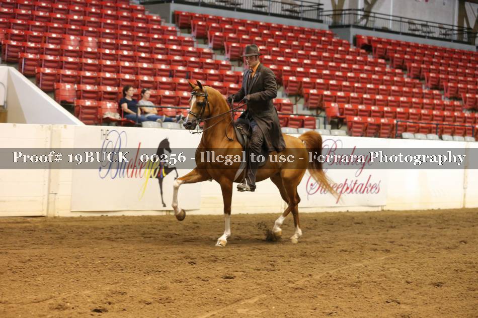 Proof 19BUCK_00256