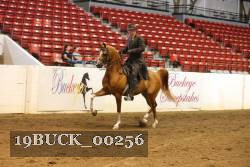 19BUCK_00256 proof