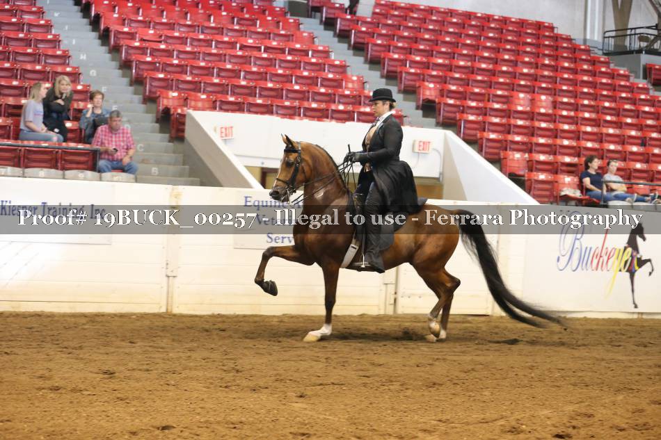 Proof 19BUCK_00257