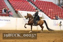 19BUCK_00257 proof