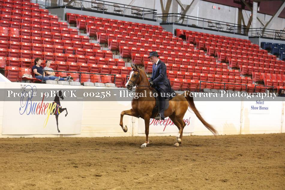 Proof 19BUCK_00258