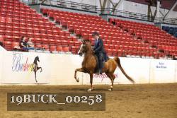 19BUCK_00258 proof