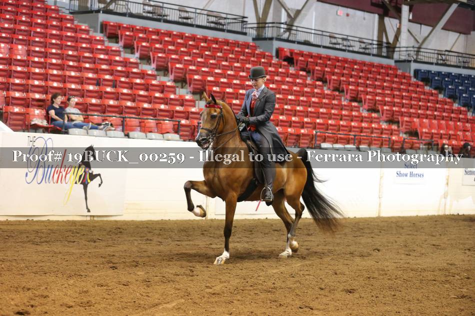 Proof 19BUCK_00259