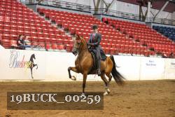 19BUCK_00259 proof