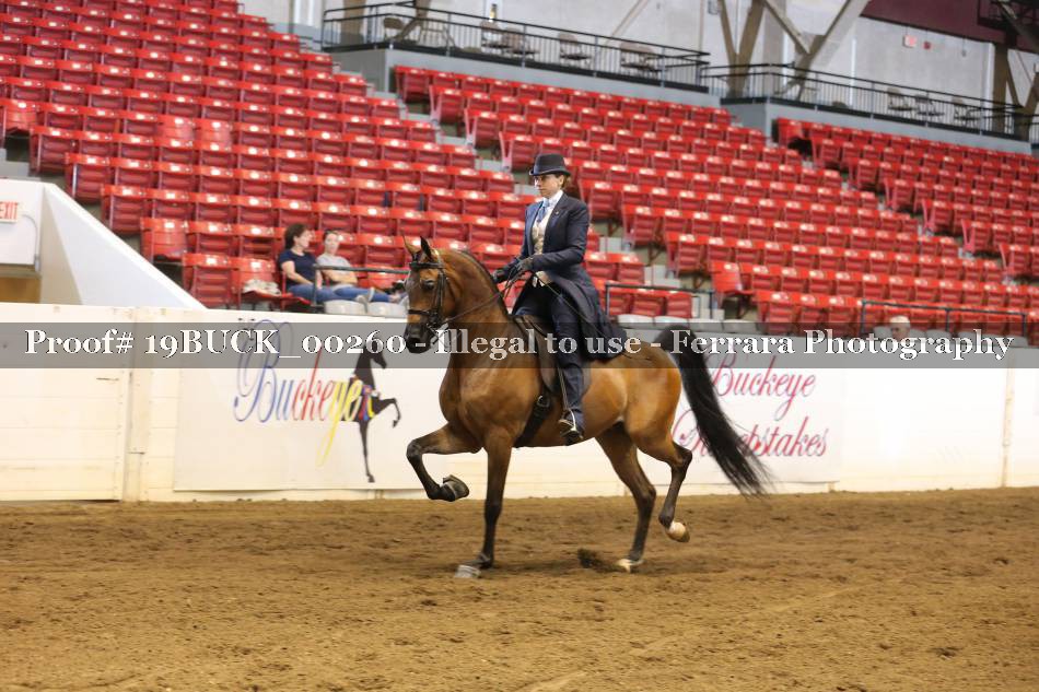 Proof 19BUCK_00260