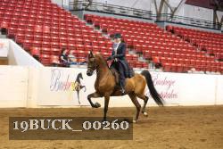 19BUCK_00260 proof