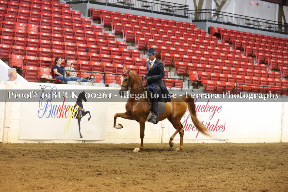 Proof 19BUCK_00261