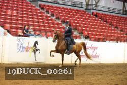 19BUCK_00261 proof