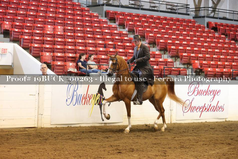 Proof 19BUCK_00263