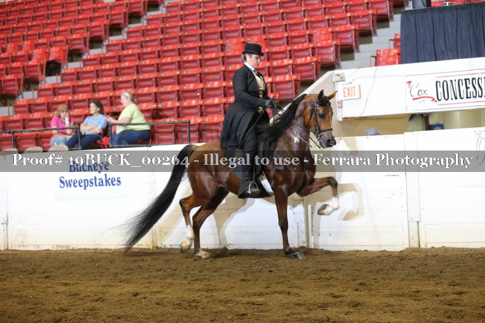 Proof 19BUCK_00264