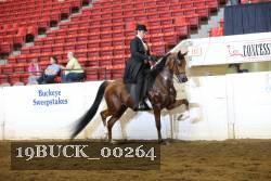 19BUCK_00264 proof