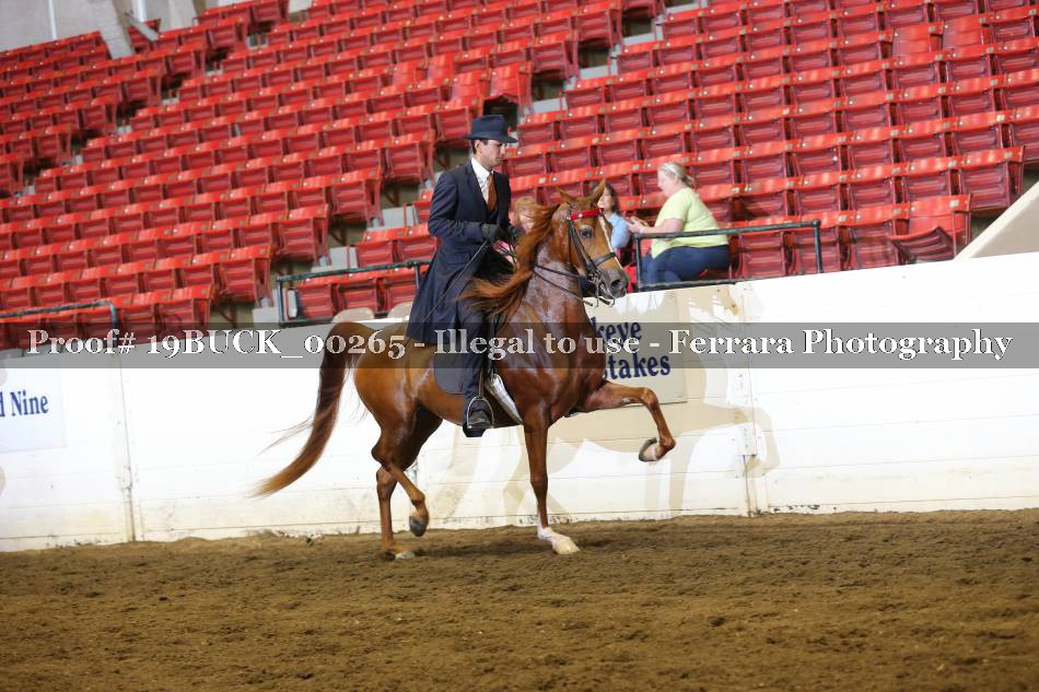 Proof 19BUCK_00265