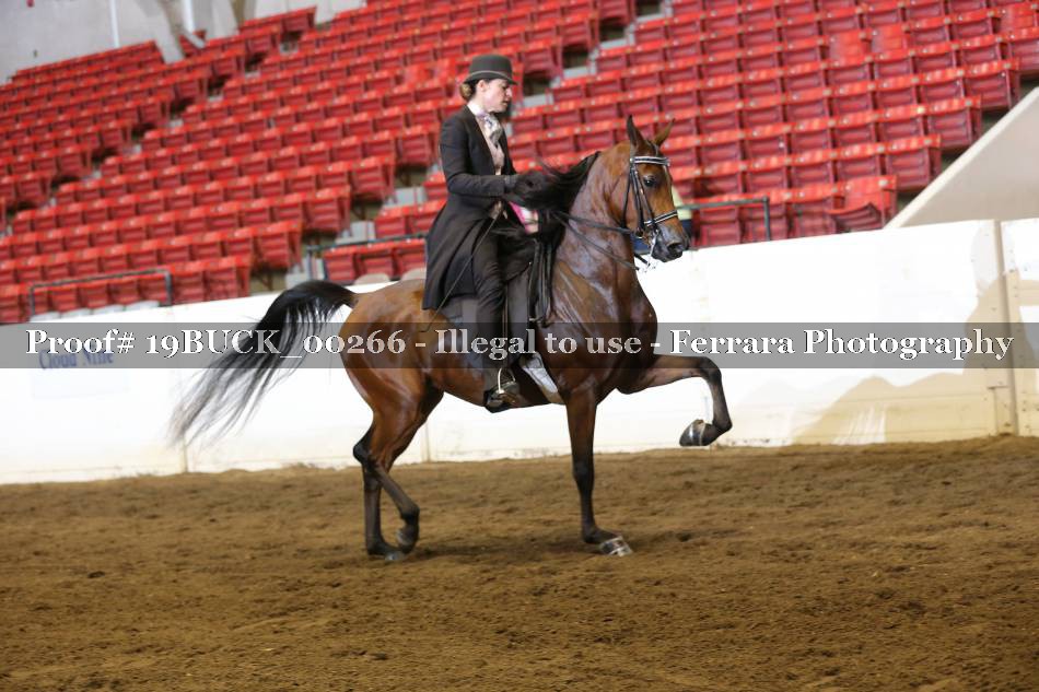 Proof 19BUCK_00266