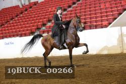 19BUCK_00266 proof