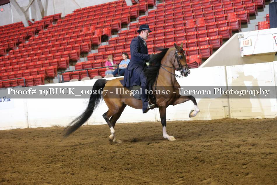 Proof 19BUCK_00267