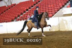 19BUCK_00267 proof