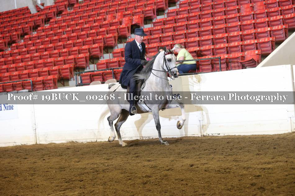 Proof 19BUCK_00268