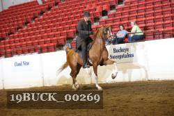 19BUCK_00269 proof