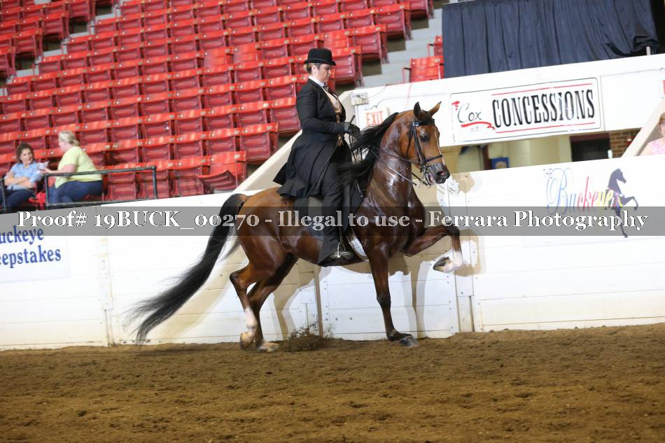 Proof 19BUCK_00270