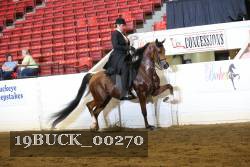 19BUCK_00270 proof