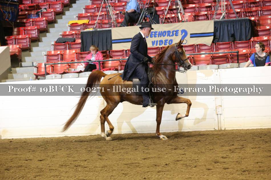 Proof 19BUCK_00271