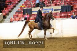 19BUCK_00271 proof
