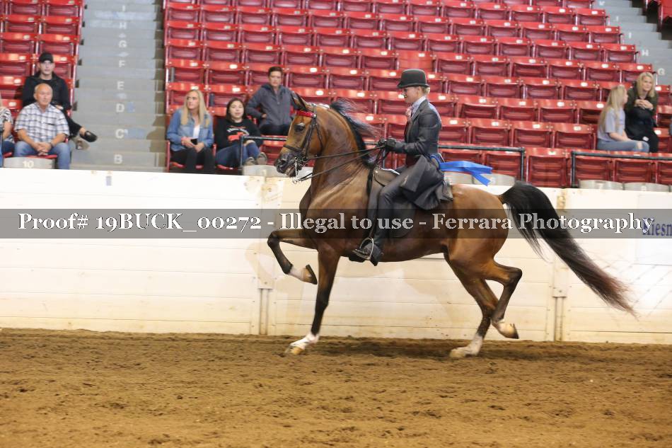 Proof 19BUCK_00272
