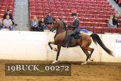 19BUCK_00272 proof