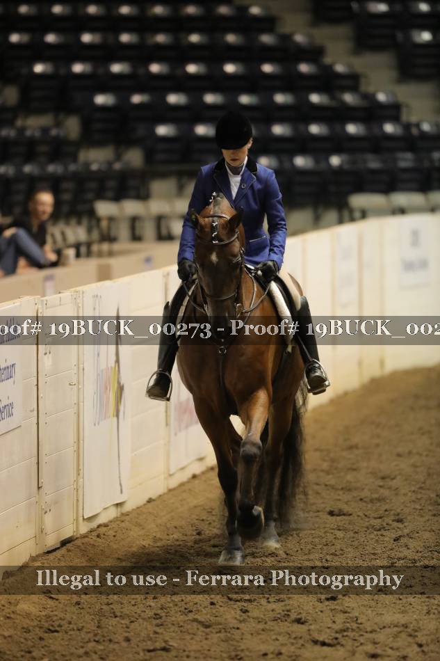 Proof 19BUCK_00273