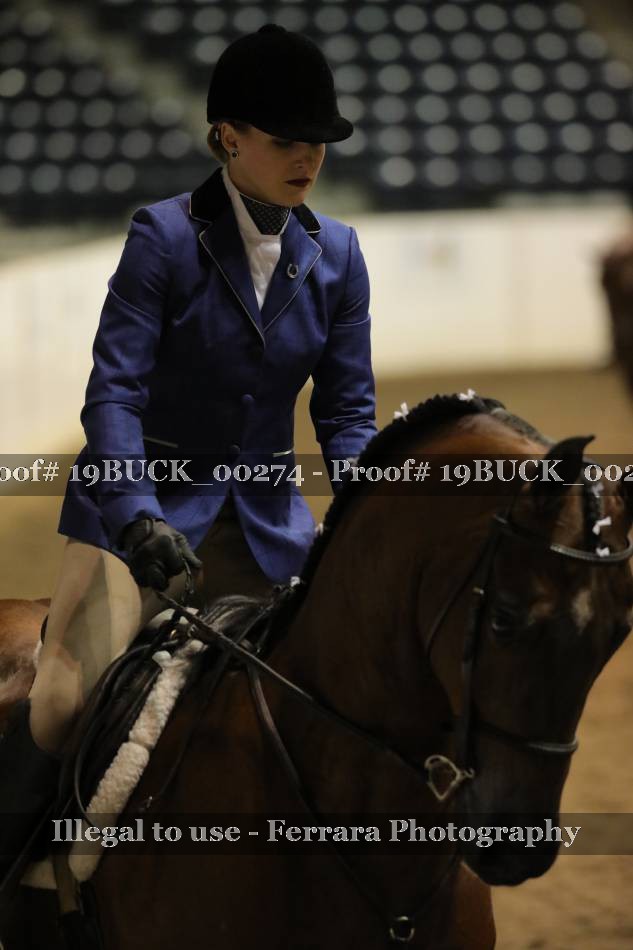 Proof 19BUCK_00274