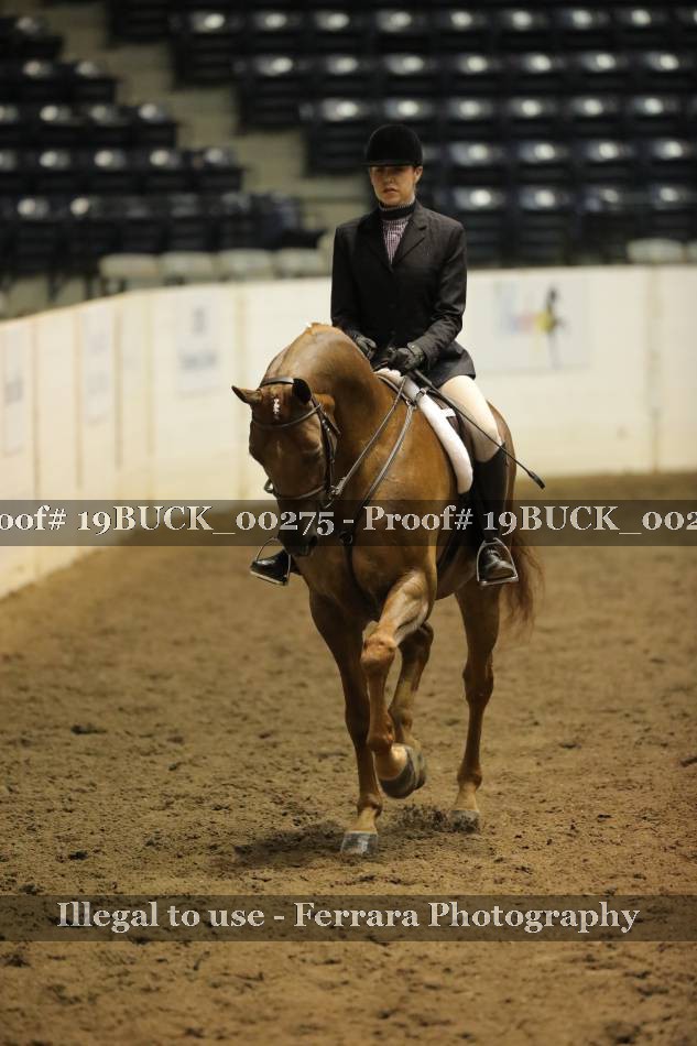 Proof 19BUCK_00275